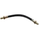 Purchase Top-Quality Front Brake Hose by RAYBESTOS - BH38161 pa2