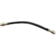 Purchase Top-Quality Front Brake Hose by RAYBESTOS - BH381613 pa7
