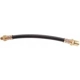 Purchase Top-Quality Front Brake Hose by RAYBESTOS - BH38163 pa1