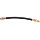 Purchase Top-Quality Front Brake Hose by RAYBESTOS - BH38163 pa10
