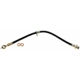 Purchase Top-Quality Front Brake Hose by RAYBESTOS - BH381646 pa11