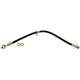 Purchase Top-Quality Front Brake Hose by RAYBESTOS - BH381646 pa14
