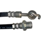 Purchase Top-Quality Front Brake Hose by RAYBESTOS - BH381647 pa1