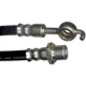 Purchase Top-Quality Front Brake Hose by RAYBESTOS - BH381647 pa14