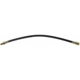 Purchase Top-Quality Front Brake Hose by RAYBESTOS - BH381658 pa2