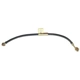 Purchase Top-Quality Front Brake Hose by RAYBESTOS - BH38167 pa1
