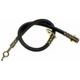 Purchase Top-Quality Front Brake Hose by RAYBESTOS - BH381676 pa11
