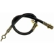Purchase Top-Quality Front Brake Hose by RAYBESTOS - BH381676 pa12