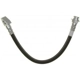 Purchase Top-Quality Front Brake Hose by RAYBESTOS - BH38173 pa9