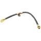 Purchase Top-Quality Front Brake Hose by RAYBESTOS - BH38178 pa2
