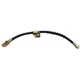 Purchase Top-Quality Front Brake Hose by RAYBESTOS - BH38194 pa2