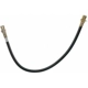 Purchase Top-Quality Front Brake Hose by RAYBESTOS - BH38210 pa11