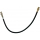 Purchase Top-Quality Front Brake Hose by RAYBESTOS - BH38210 pa9