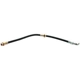 Purchase Top-Quality Front Brake Hose by RAYBESTOS - BH38224 pa1
