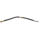 Purchase Top-Quality Front Brake Hose by RAYBESTOS - BH38224 pa2