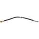 Purchase Top-Quality Front Brake Hose by RAYBESTOS - BH38224 pa3