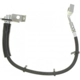Purchase Top-Quality Front Brake Hose by RAYBESTOS - BH382364 pa12