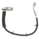 Purchase Top-Quality Front Brake Hose by RAYBESTOS - BH382364 pa13