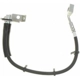 Purchase Top-Quality Front Brake Hose by RAYBESTOS - BH382364 pa7