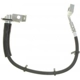 Purchase Top-Quality Front Brake Hose by RAYBESTOS - BH382364 pa9