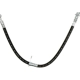 Purchase Top-Quality Front Brake Hose by RAYBESTOS - BH382365 pa16