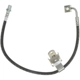 Purchase Top-Quality Front Brake Hose by RAYBESTOS - BH382374 pa4