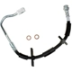Purchase Top-Quality Front Brake Hose by RAYBESTOS - BH382487 pa11