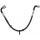 Purchase Top-Quality Front Brake Hose by RAYBESTOS - BH382491 pa10