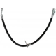 Purchase Top-Quality Front Brake Hose by RAYBESTOS - BH382550 pa10