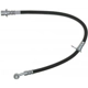 Purchase Top-Quality Front Brake Hose by RAYBESTOS - BH382554 pa14