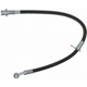 Purchase Top-Quality Front Brake Hose by RAYBESTOS - BH382554 pa16