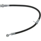 Purchase Top-Quality Front Brake Hose by RAYBESTOS - BH382554 pa4