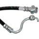 Purchase Top-Quality Front Brake Hose by RAYBESTOS - BH382564 pa1