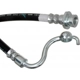 Purchase Top-Quality Front Brake Hose by RAYBESTOS - BH382564 pa11