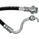Purchase Top-Quality Front Brake Hose by RAYBESTOS - BH382564 pa12