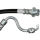 Purchase Top-Quality Front Brake Hose by RAYBESTOS - BH382565 pa1