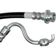 Purchase Top-Quality Front Brake Hose by RAYBESTOS - BH382565 pa3