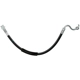 Purchase Top-Quality Front Brake Hose by RAYBESTOS - BH382565 pa4