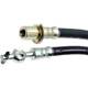 Purchase Top-Quality Front Brake Hose by RAYBESTOS - BH38257 pa1