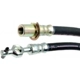 Purchase Top-Quality Front Brake Hose by RAYBESTOS - BH38257 pa11