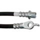 Purchase Top-Quality Front Brake Hose by RAYBESTOS - BH382595 pa1