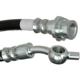 Purchase Top-Quality Front Brake Hose by RAYBESTOS - BH382674 pa1