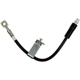 Purchase Top-Quality RAYBESTOS - BH382678 - Front Brake Hose pa14
