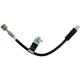 Purchase Top-Quality RAYBESTOS - BH382679 - Front Brake Hose pa8