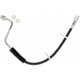 Purchase Top-Quality Front Brake Hose by RAYBESTOS - BH382686 pa2