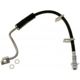 Purchase Top-Quality Front Brake Hose by RAYBESTOS - BH382687 pa13