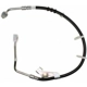 Purchase Top-Quality Front Brake Hose by RAYBESTOS - BH382695 pa11