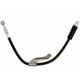 Purchase Top-Quality Front Brake Hose by RAYBESTOS - BH382701 pa15