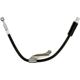 Purchase Top-Quality Front Brake Hose by RAYBESTOS - BH382701 pa4