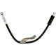 Purchase Top-Quality Front Brake Hose by RAYBESTOS - BH382701 pa9